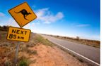 2_kangaroo